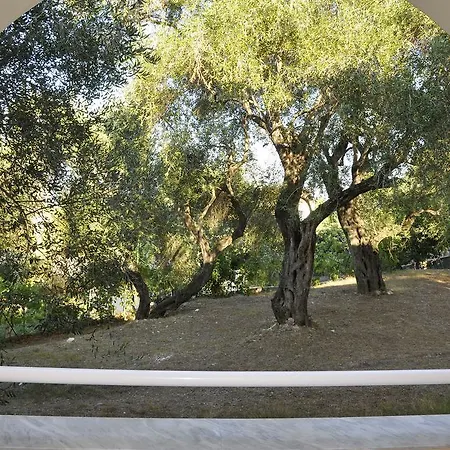 Egli كونتوكالي