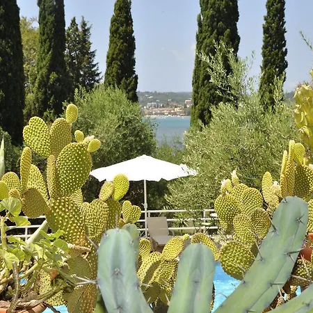 Egli كونتوكالي